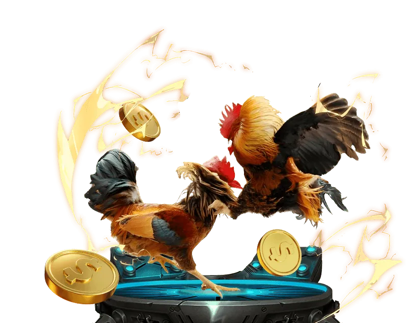 Cam kết của đăng nhập 555win về cờ bạc có trách nhiệm